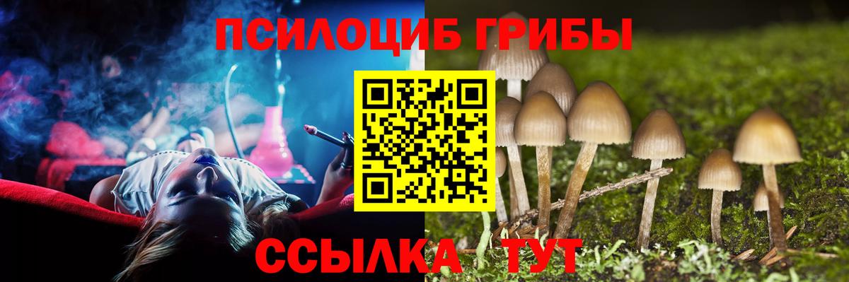 Псилоцибиновые грибы Magic Shrooms Якутск