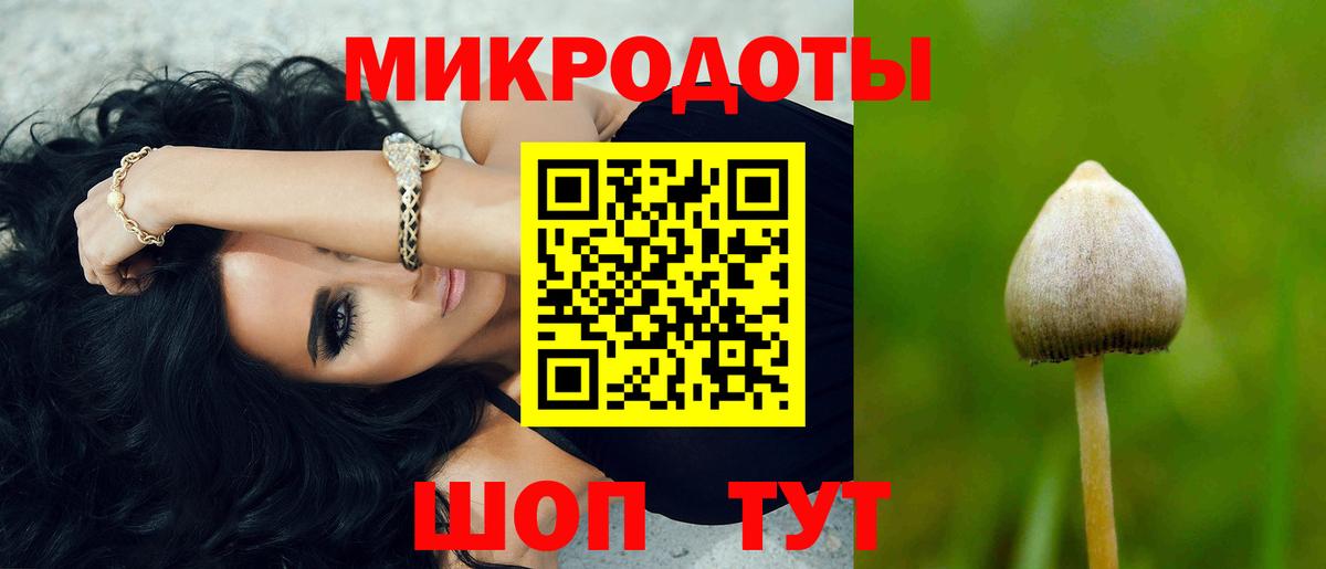 Галлюциногенные грибы GOLDEN TEACHER  Вход с VPN  Галлюциногенные грибы GOLDEN TEACHER  Якутск 